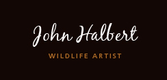 John Halbert
